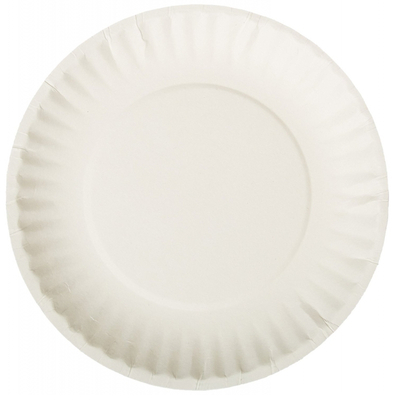 Choice 9 White Uncoated Paper Plate - 1000/Case