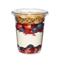 FABRI-KAL 9 OZ CLEAR CUP WITH LIDS AND 2 OZ INSERTS FOR PARFAITS - 500 PER CASE