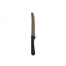 STEAK KNIFE WITH ROUNDED TIP, PLASTIC HANDLE (12/BOX)