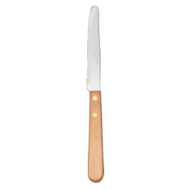 STEAK KNIFE, 8.5" OVERALL LENGTH, ROUNDED TIP, PLASTIC HANDLE - 24 PER BOX