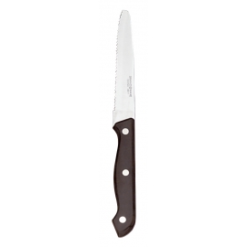 STEAK KNIFE, 8.88" OVERALL LENGTH, ROUNDED TIP, PLASTIC HANDLE - 24 PER BOX